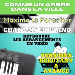 tuto Comme un arbre dans la ville de Maxime Le-Forestier